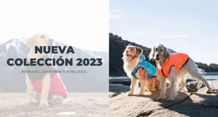 Colección 2022 de ropa para perros de la marca australiana FuzzYard